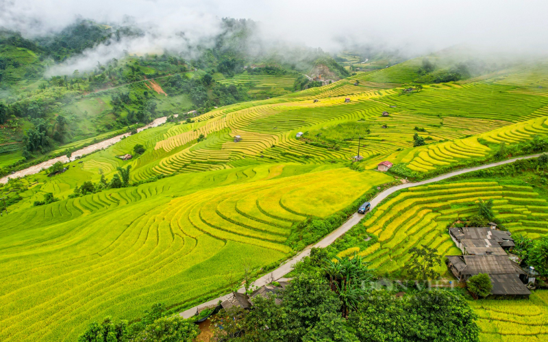 La culture de Sapa avec des récits de la vie et des traditions des ethnies des hauts plateaux du Nord 2 These Breathtaking Terraces Are The Heart Of Sapa Culture, Showcasing Timeless Agricultural Wisdom