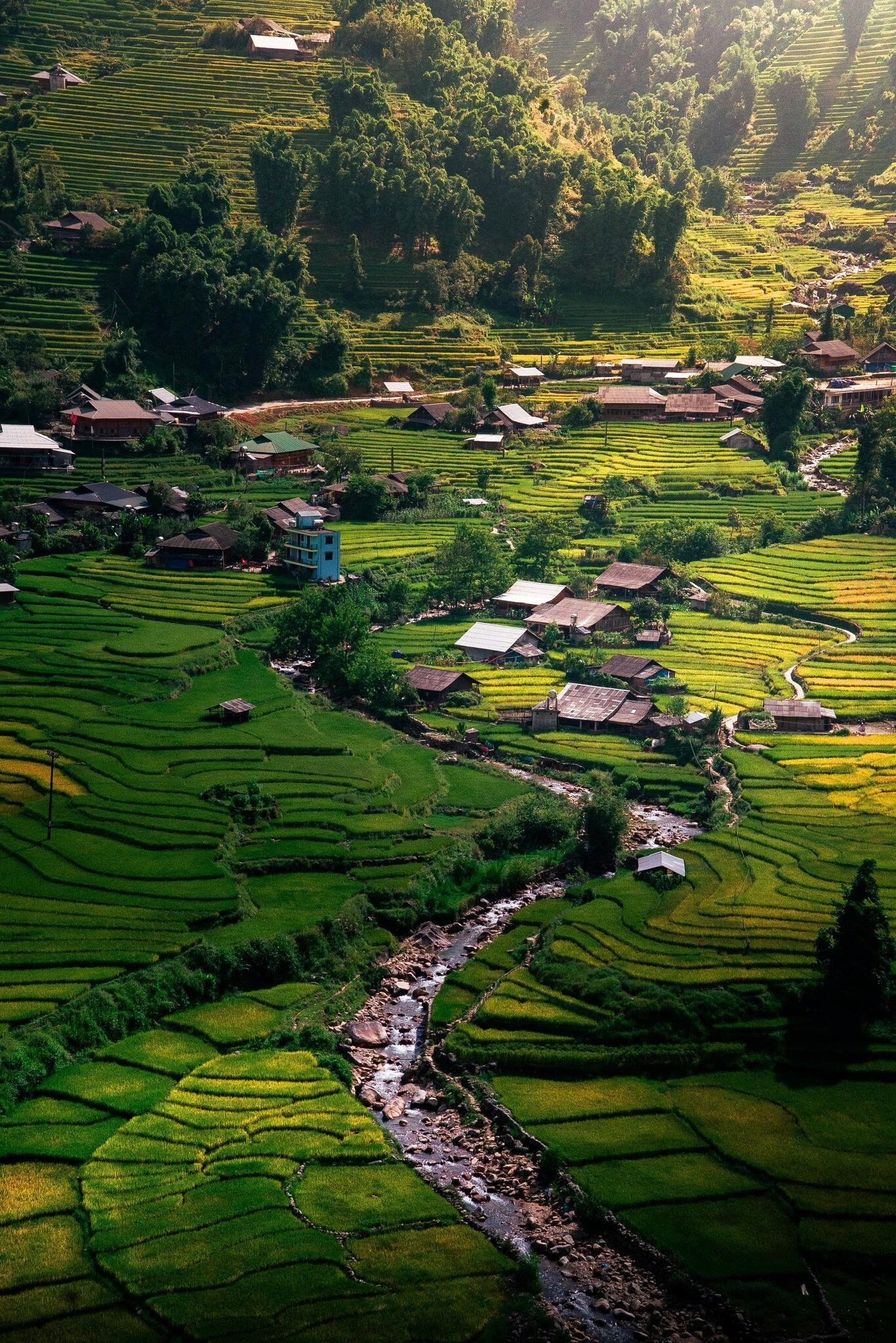 A Stream Flowing Through The Terraced Fields Of Ta Van.