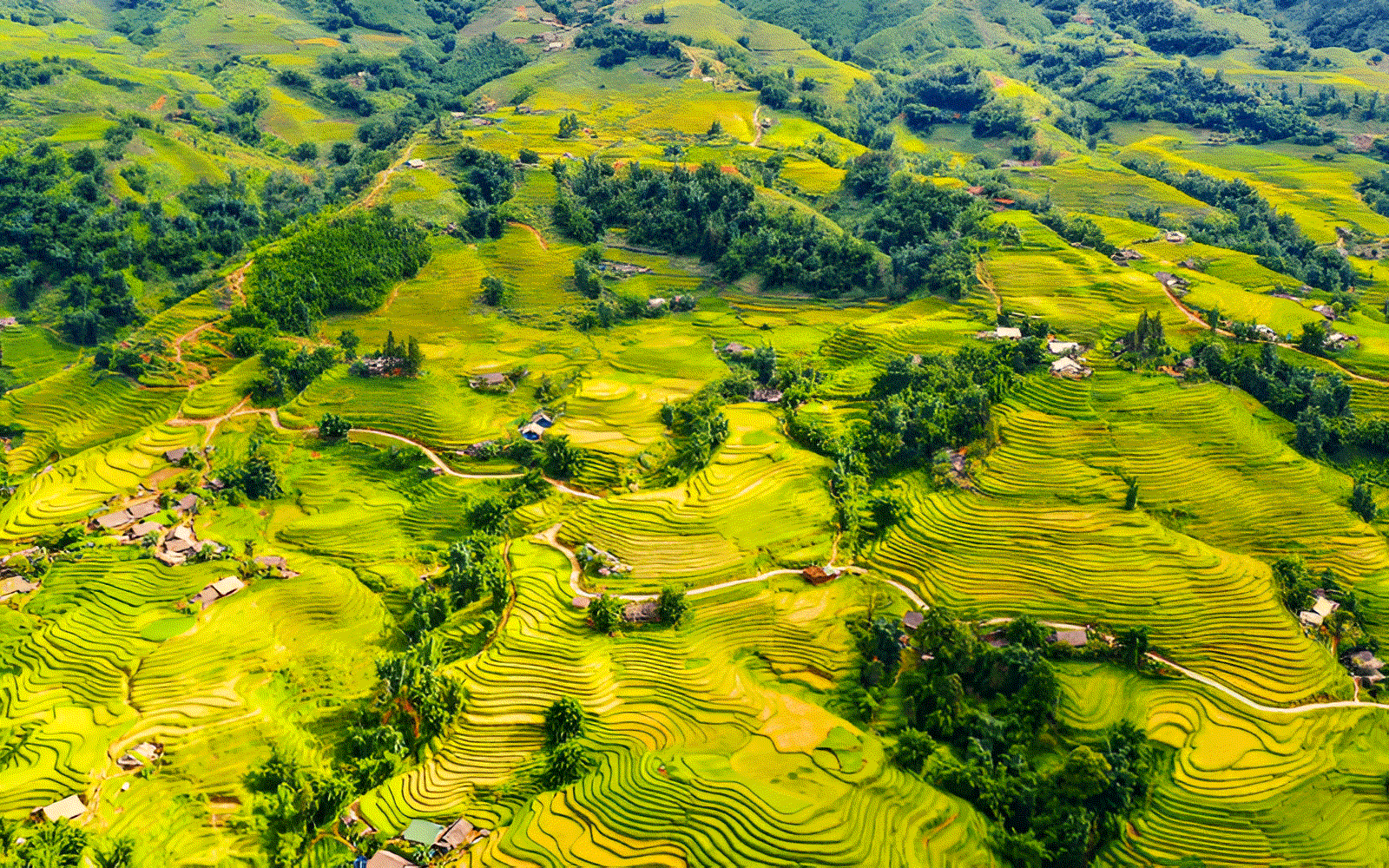 Authentic Homestay Experience In Ta Van Village, Surrounded By Nature.
