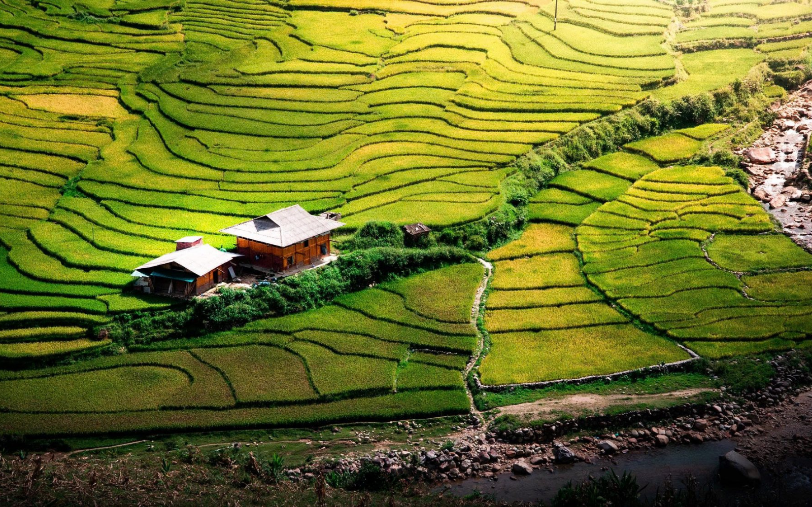 Houses Nestled Among The Terraced Fields Of Ta Van.