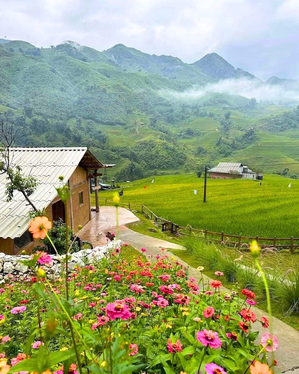 Ta Van Village Adorned With Flowers And Green Rice Fields.