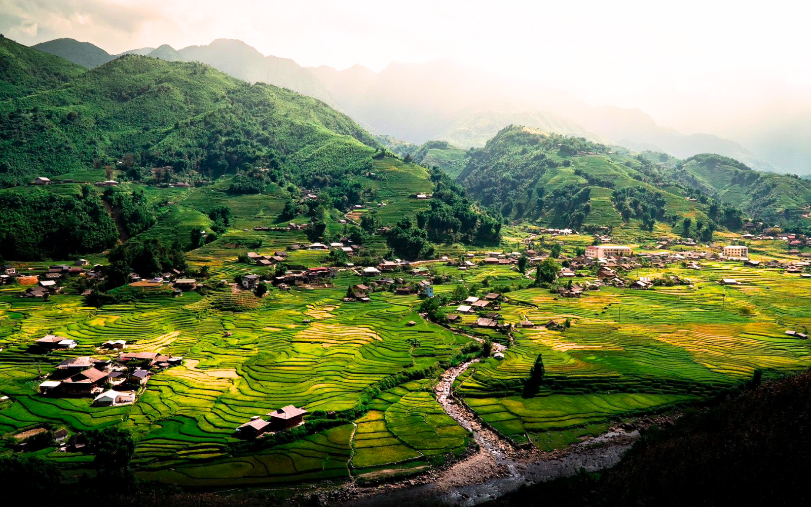 Ta Van Village During The Golden Rice Season.