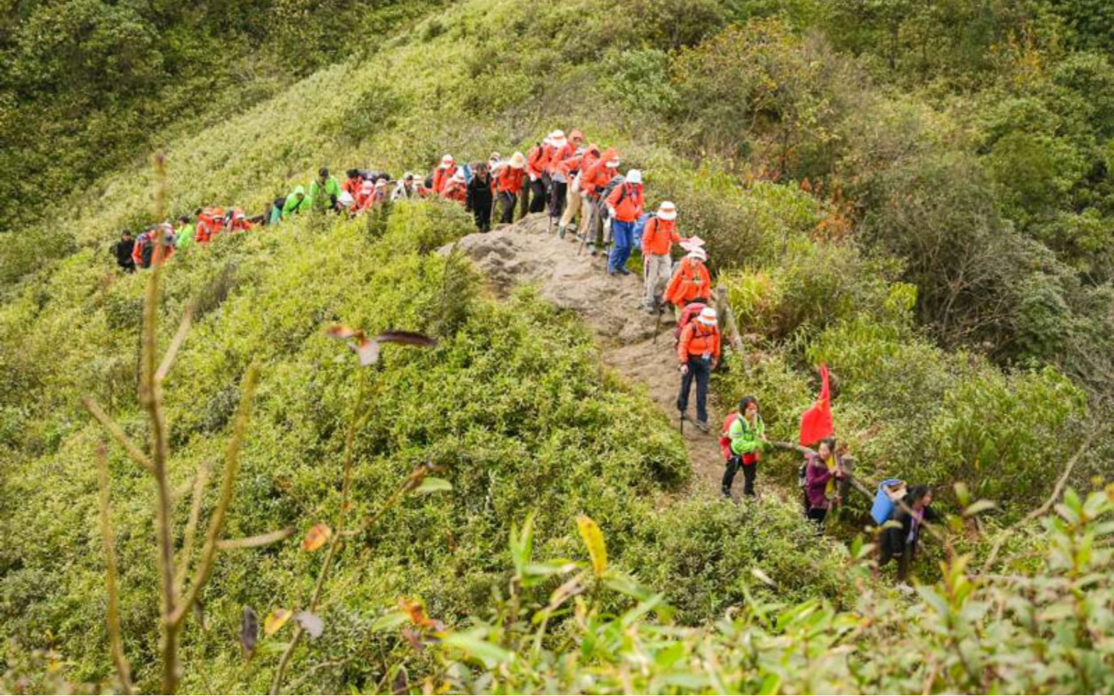 Trekking Fansipan – A Journey Through The Wild Hoang Lien Forest.