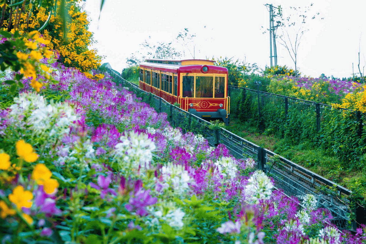 Getting to and from Sapa should be part of the experience